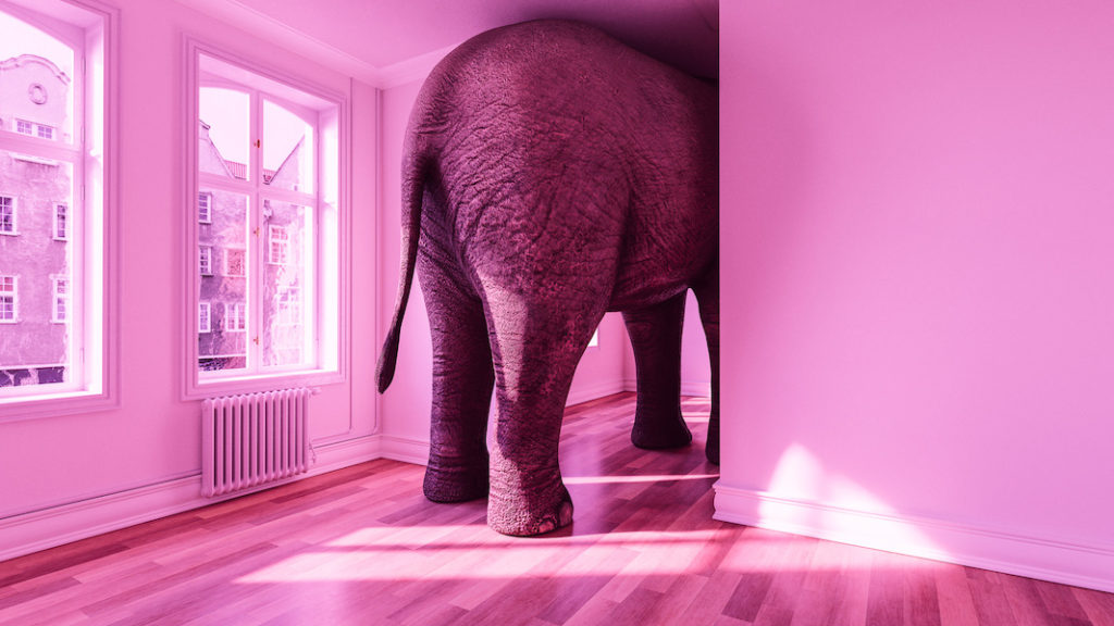 Elephant in a living room to represent how families avoid talking about alcohol problems and the effects of parents drinking.